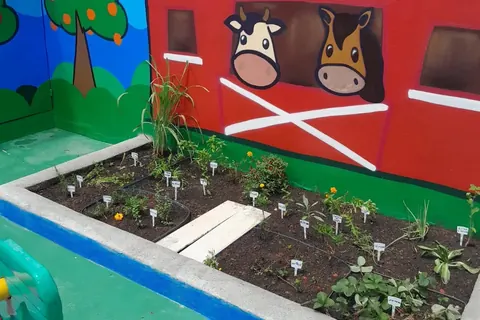 Horta pedagógica do Colégio Negreiros